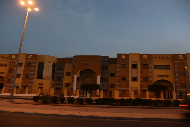 Picture13_upscayl_4x_upscayl-standard-4x (Copy)